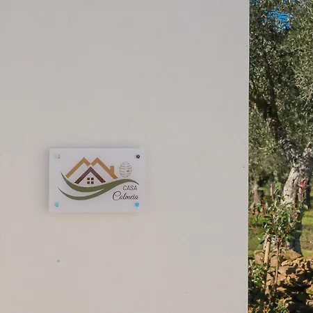 Casa Colmeia * Macedo de Cavaleiros